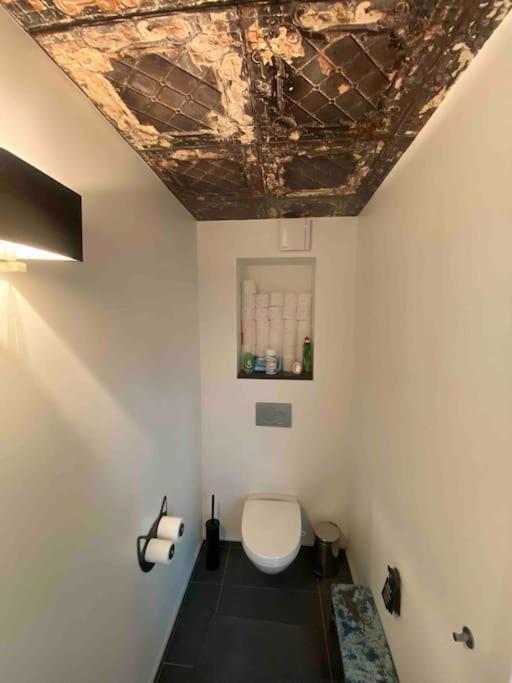 Rare ! Loft Atypique Centre-ville Parking Jardin Reims